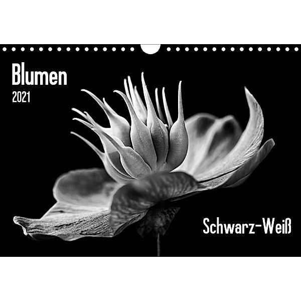 Blumen 2021, Schwarz-Weiß (Wandkalender 2021 DIN A4 quer), Beate Wurster