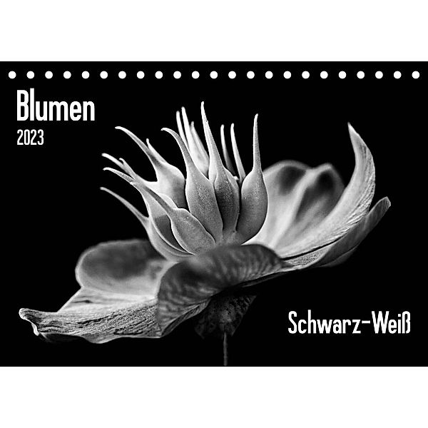 Blumen 2023, Schwarz-Weiß (Tischkalender 2023 DIN A5 quer), Beate Wurster