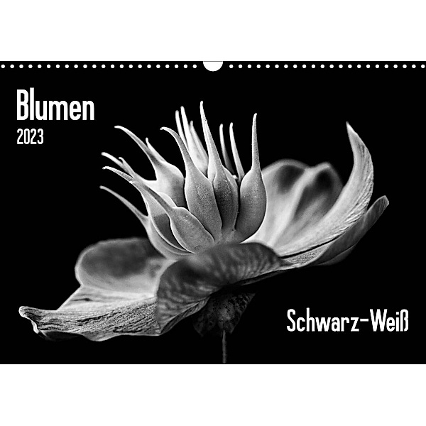 Blumen 2023, Schwarz-Weiß (Wandkalender 2023 DIN A3 quer), Beate Wurster
