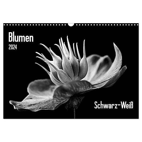 Blumen 2024, Schwarz-Weiß (Wandkalender 2024 DIN A3 quer), CALVENDO Monatskalender, Beate Wurster