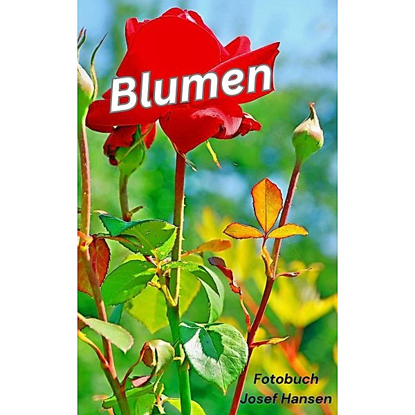 Blumen, Josef Hansen