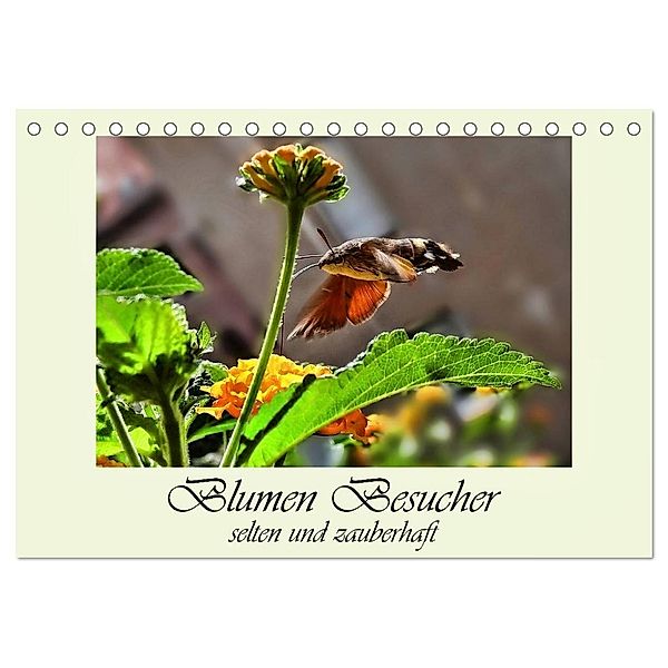 Blumen-Besucher - selten und zauberhaft (Tischkalender 2024 DIN A5 quer), CALVENDO Monatskalender, Dusanka Djeric