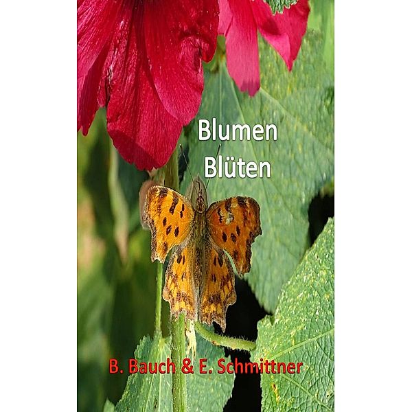 Blumen Blüten, B. Bauch