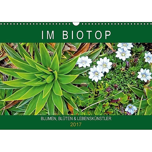 Blumen, Blüten, Lebenskünstler: Im Biotop (Wandkalender 2017 DIN A3 quer), CALVENDO