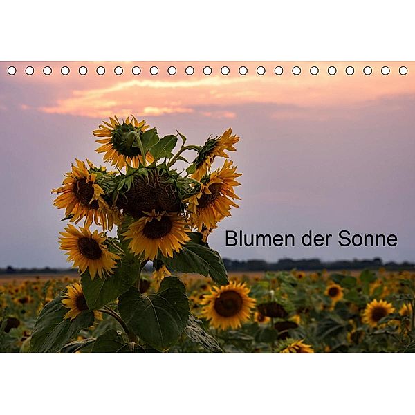 Blumen der Sonne (Tischkalender 2021 DIN A5 quer), nne Käfer-Naumann