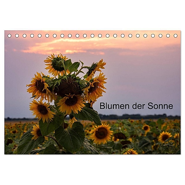 Blumen der Sonne (Tischkalender 2024 DIN A5 quer), CALVENDO Monatskalender, nne Käfer-Naumann