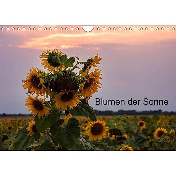 Blumen der Sonne (Wandkalender 2023 DIN A4 quer), nne Käfer-Naumann