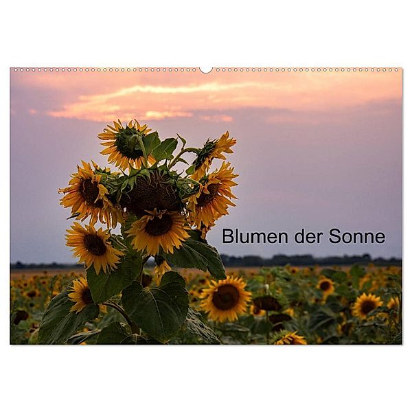Blumen der Sonne (Wandkalender 2024 DIN A2 quer), CALVENDO Monatskalender, nne Käfer-Naumann