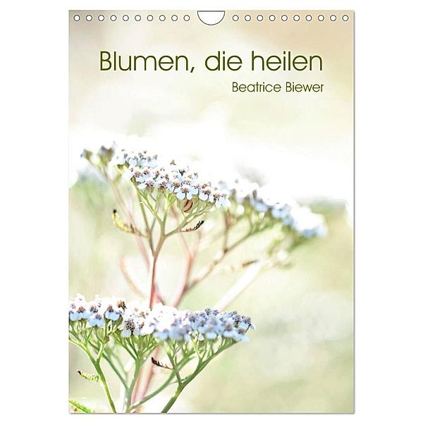 Blumen, die heilen (Wandkalender 2024 DIN A4 hoch), CALVENDO Monatskalender, Beatrice Biewer