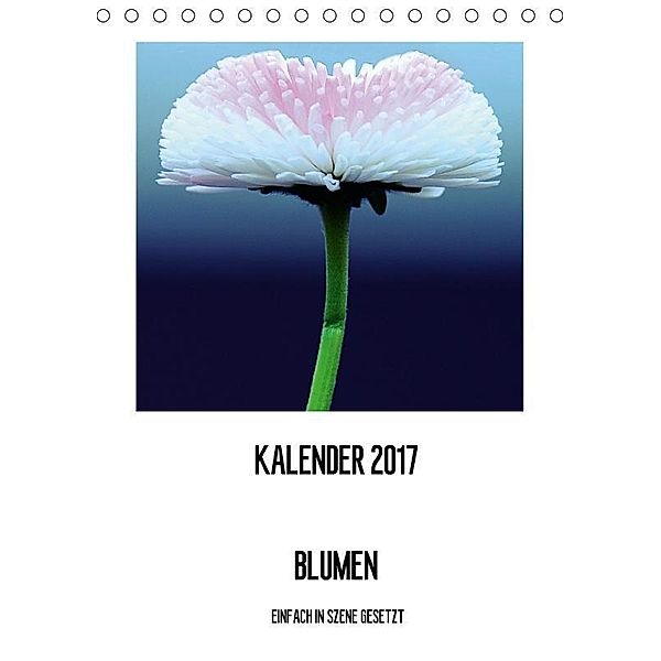 BLUMEN EINFACH IN SZENE GESETZT (Tischkalender 2017 DIN A5 hoch), Susanne Jeschke