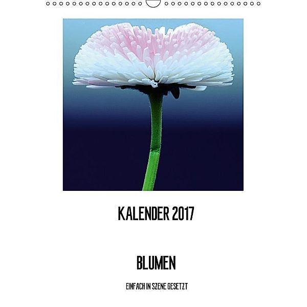 BLUMEN EINFACH IN SZENE GESETZT (Wandkalender 2017 DIN A3 hoch), Susanne Jeschke