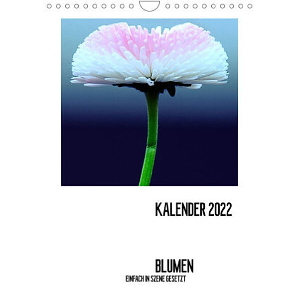 BLUMEN EINFACH IN SZENE GESETZT (Wandkalender 2022 DIN A4 hoch), Susanne Jeschke