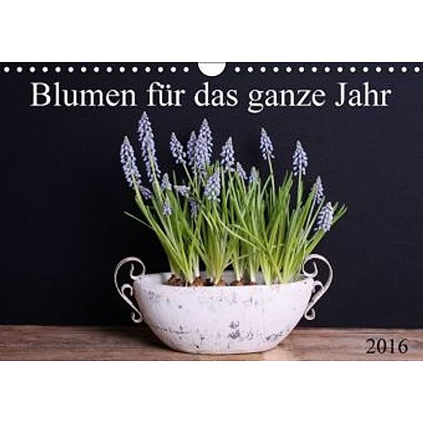 Blumen für das ganze Jahr (Wandkalender 2016 DIN A4 quer), SchnelleWelten