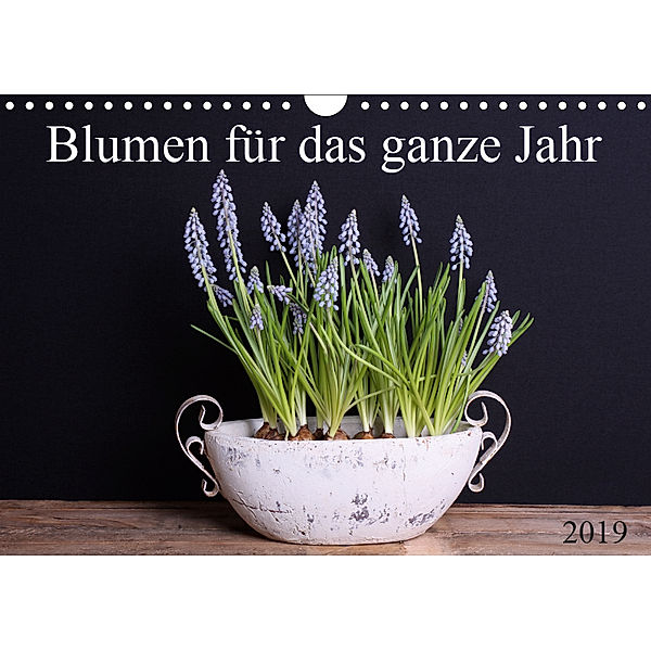 Blumen für das ganze Jahr (Wandkalender 2019 DIN A4 quer), SchnelleWelten