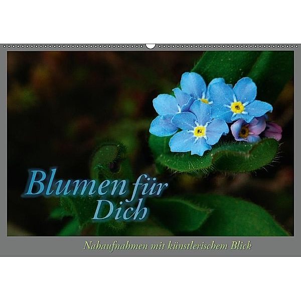 Blumen für Dich (Wandkalender 2017 DIN A2 quer), Adalbert Helwig