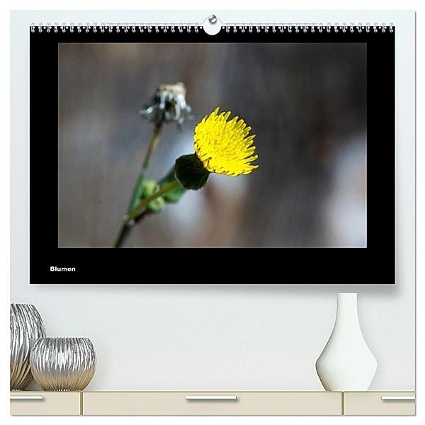 Blumen (hochwertiger Premium Wandkalender 2024 DIN A2 quer), Kunstdruck in Hochglanz, toby deinhardt