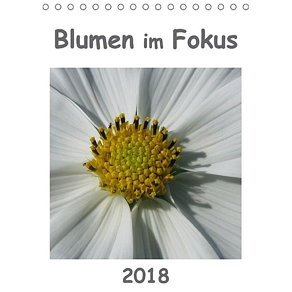 Blumen im Fokus (Tischkalender 2018 DIN A5 hoch), Linda Schilling und Michael Wlotzka