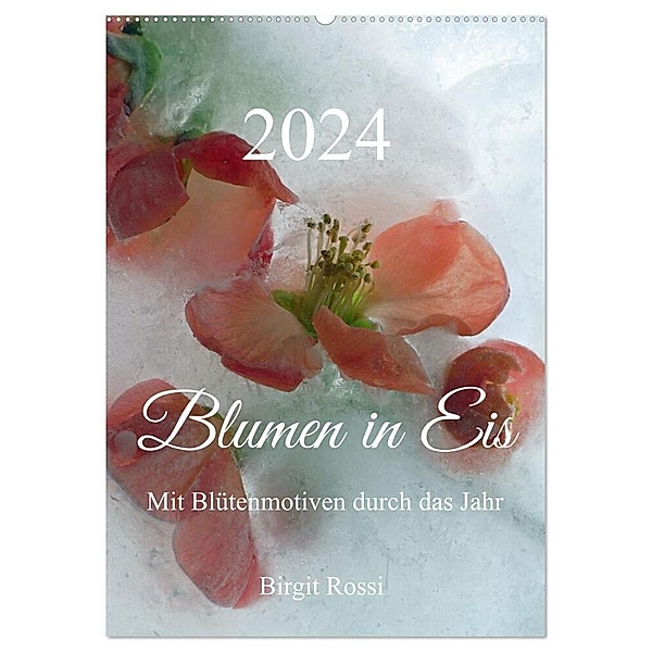 Blumen in Eis (Wandkalender 2024 DIN A2 hoch), CALVENDO Monatskalender, Birgit Rossi