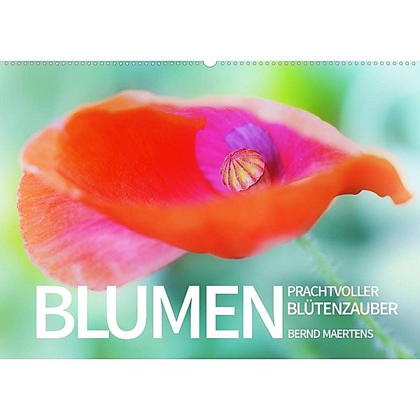 BLUMEN Prachtvoller Blütenzauber (Wandkalender 2023 DIN A2 quer), Bernd Maertens