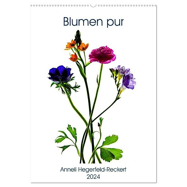 Blumen pur (Wandkalender 2024 DIN A2 hoch), CALVENDO Monatskalender, Anneli Hegerfeld-Reckert