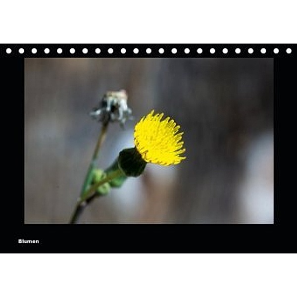Blumen (Tischkalender 2020 DIN A5 quer), toby deinhardt
