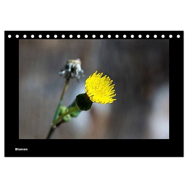 Blumen (Tischkalender 2024 DIN A5 quer), CALVENDO Monatskalender, toby deinhardt