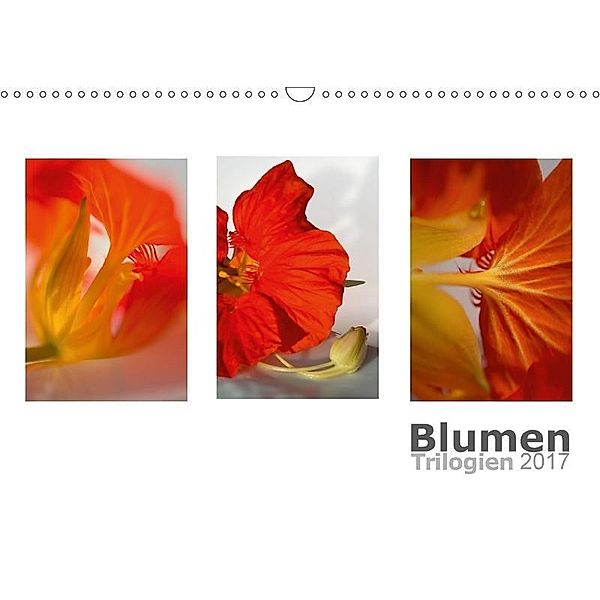 Blumen Trilogien (Wandkalender 2017 DIN A3 quer), Christiane Calmbacher
