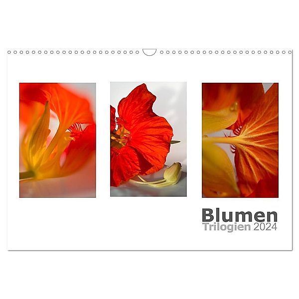 Blumen Trilogien (Wandkalender 2024 DIN A3 quer), CALVENDO Monatskalender, Christiane calmbacher