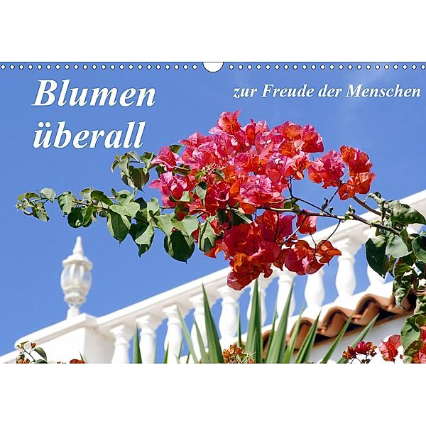 Blumen überall, zur Freude Menschen (Wandkalender 2021 DIN A3 quer), Lothar Reupert