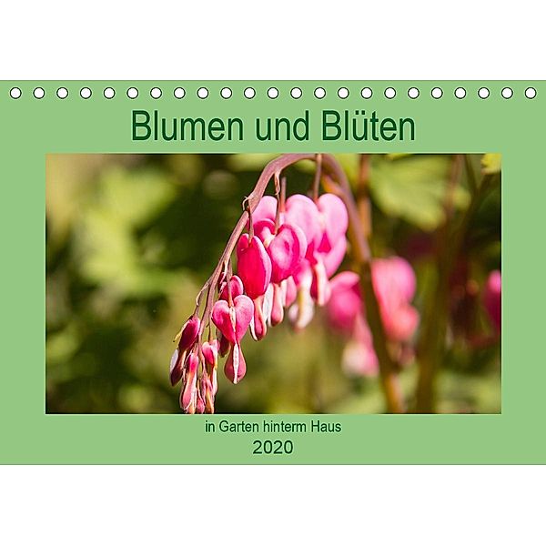 Blumen und Blüten im Garten hinterm Haus (Tischkalender 2020 DIN A5 quer), Elke Laage