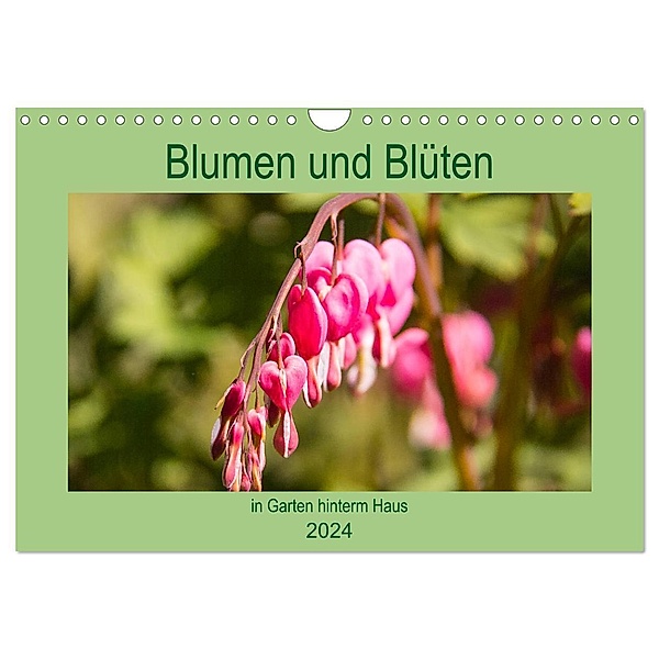 Blumen und Blüten im Garten hinterm Haus (Wandkalender 2024 DIN A4 quer), CALVENDO Monatskalender, Elke Laage