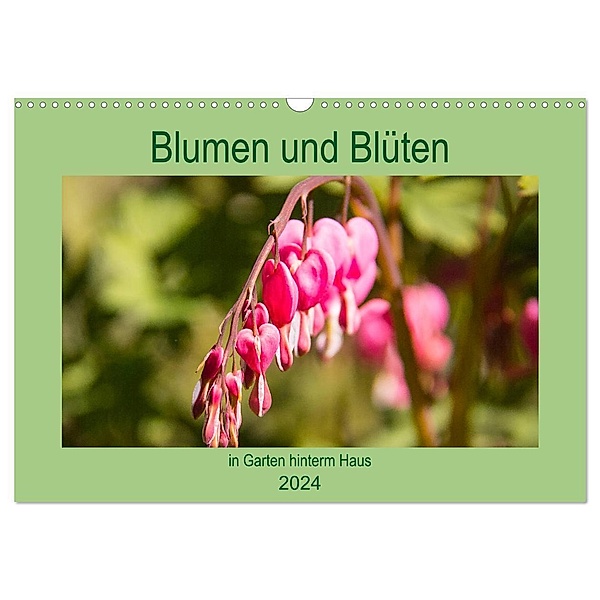Blumen und Blüten im Garten hinterm Haus (Wandkalender 2024 DIN A3 quer), CALVENDO Monatskalender, Elke Laage