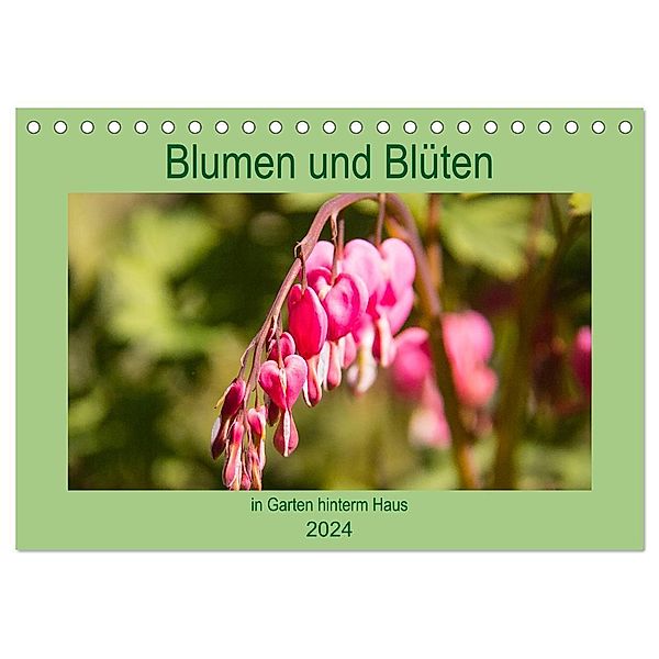 Blumen und Blüten im Garten hinterm Haus (Tischkalender 2024 DIN A5 quer), CALVENDO Monatskalender, Elke Laage