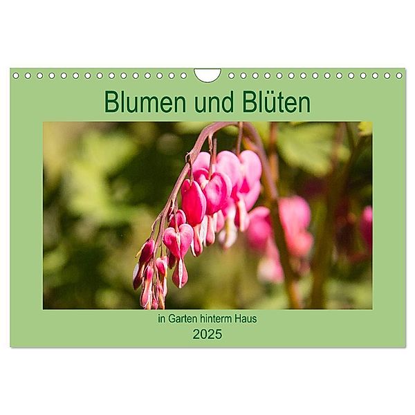 Blumen und Blüten im Garten hinterm Haus (Wandkalender 2025 DIN A4 quer), CALVENDO Monatskalender, Calvendo, Elke Laage