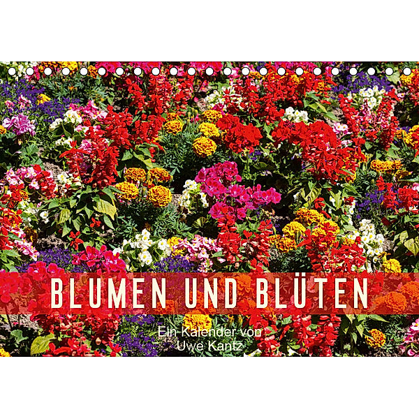 Blumen und Blüten (Tischkalender 2019 DIN A5 quer), Uwe Kantz
