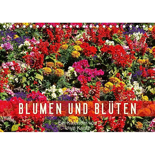 Blumen und Blüten (Tischkalender 2020 DIN A5 quer), Uwe Kantz