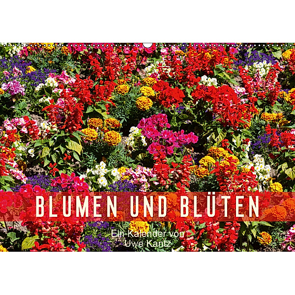 Blumen und Blüten (Wandkalender 2019 DIN A2 quer), Uwe Kantz