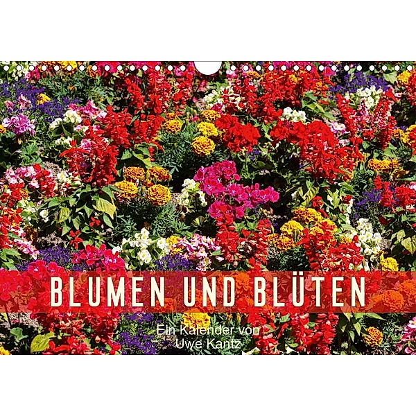 Blumen und Blüten (Wandkalender 2021 DIN A4 quer), Uwe Kantz