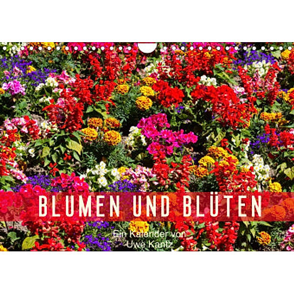 Blumen und Blüten (Wandkalender 2022 DIN A4 quer), Uwe Kantz