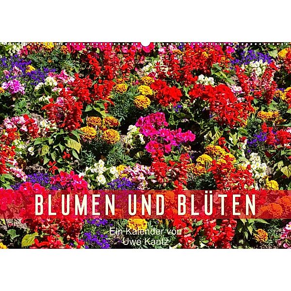 Blumen und Blüten (Wandkalender 2023 DIN A2 quer), Uwe Kantz