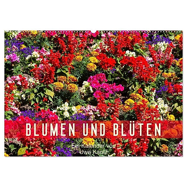 Blumen und Blüten (Wandkalender 2024 DIN A2 quer), CALVENDO Monatskalender, Uwe Kantz