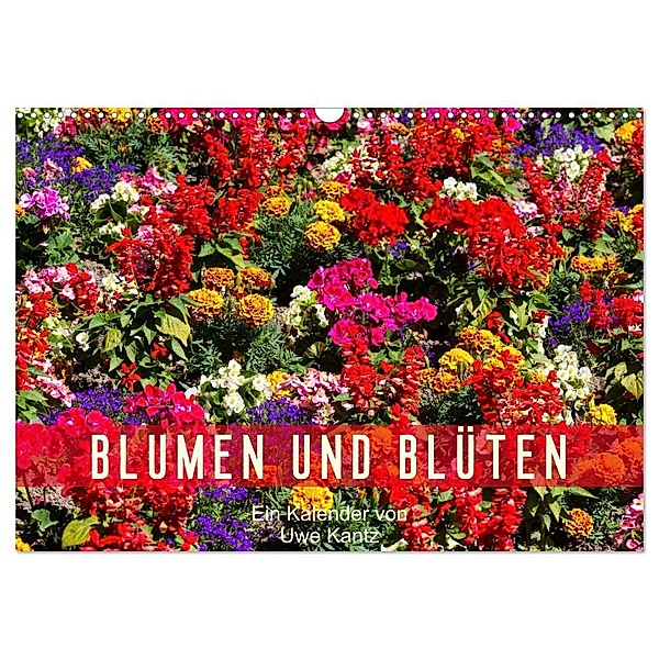 Blumen und Blüten (Wandkalender 2024 DIN A3 quer), CALVENDO Monatskalender, Uwe Kantz