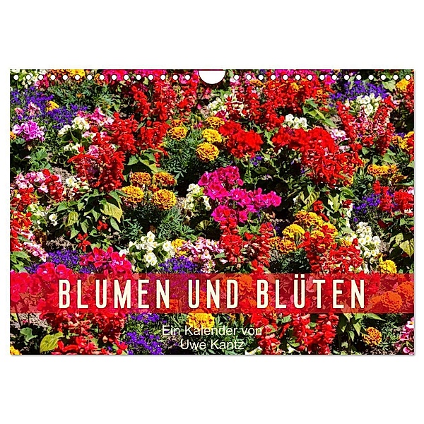 Blumen und Blüten (Wandkalender 2024 DIN A4 quer), CALVENDO Monatskalender, Uwe Kantz