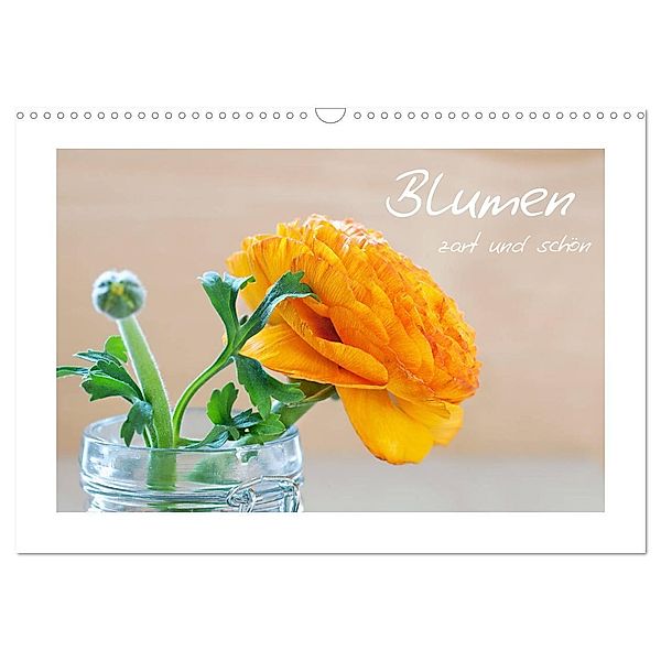 Blumen zart und schön (Wandkalender 2024 DIN A3 quer), CALVENDO Monatskalender, Petra Fischer