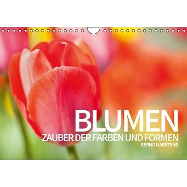 BLUMEN Zauber der Farben und Formen (Wandkalender 2016 DIN A4 quer), Bernd Maertens