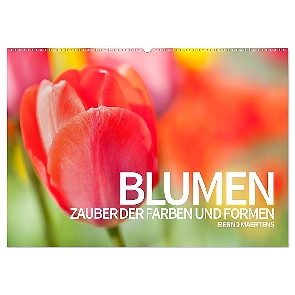 BLUMEN Zauber der Farben und Formen (Wandkalender 2024 DIN A2 quer), CALVENDO Monatskalender, Bernd Maertens