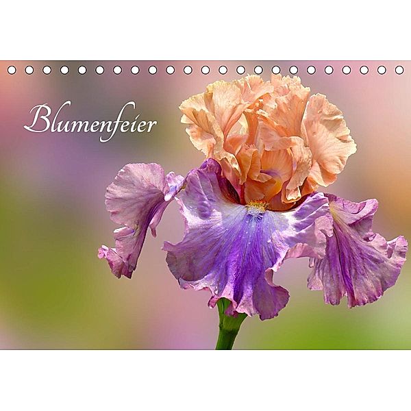 Blumenfeier (Tischkalender 2021 DIN A5 quer), Livingvisions