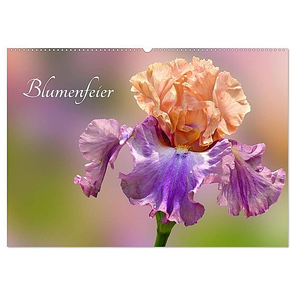 Blumenfeier (Wandkalender 2024 DIN A2 quer), CALVENDO Monatskalender, Livingvisions