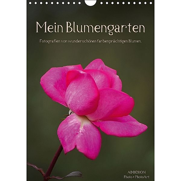 Blumengarten (Wandkalender 2014 DIN A4 hoch), Angela Dölling