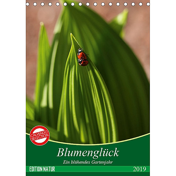 Blumenglück. Ein blühendes Gartenjahr (Tischkalender 2019 DIN A5 hoch), Gisela Kruse